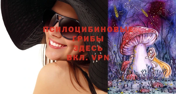 mdpv Бугульма