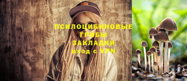 крисы Белоозёрский