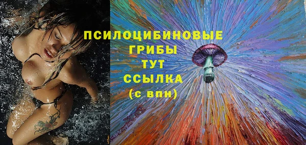 винт Бикин