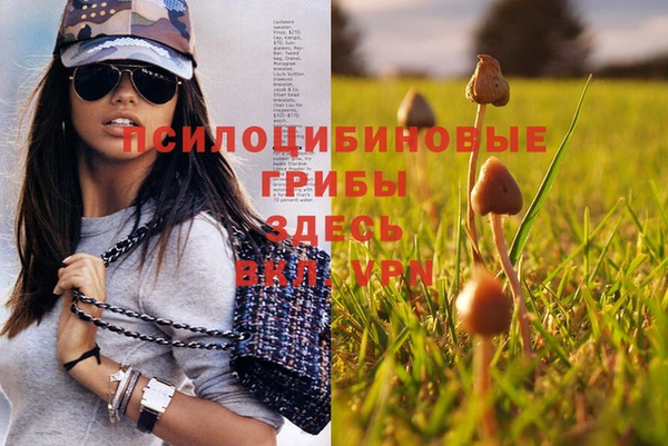 гашиш Белокуриха